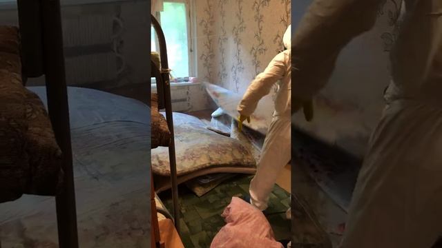 Как уничтожить клопов и тараканов с минимальными усилиями? смотреть онлайн