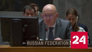 Небезя: русофобия на Украине вышла на новый уровень - Россия 24 