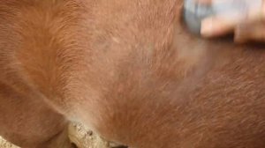 Необычный отпуск в Швейцарии| ВЛОГ| одна в отпуск без детей