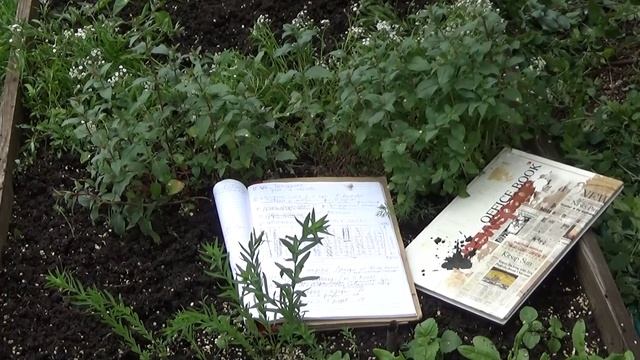 Своя рассада летников. Пора в клумбы! смотреть онлайн