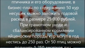 Бизнес план по разведению кур