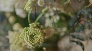 Самые красивые мелодии в мире - Лечебная музыка - Лечебная музыка