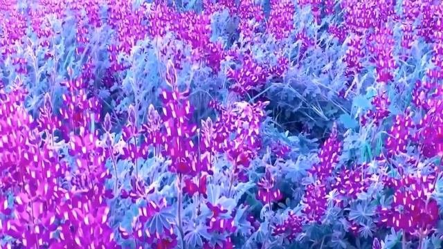 Валентина Миронова ПРЕДНАЗНАЧЕНИЕ, КОМПЬЮТЕРНЫЕ ИГРЫ, НАМЕРЕНИЕ как правильно написать? Ответы