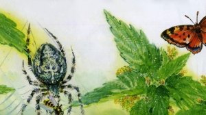 Паучки-лётчики