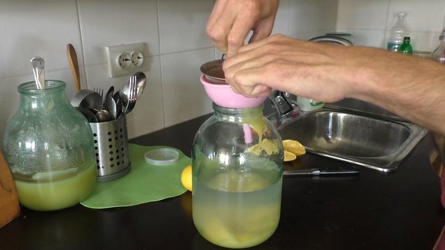 Домашний Лимонад из Закристаллизованного Меда для Всей Семьи смотреть онлайн