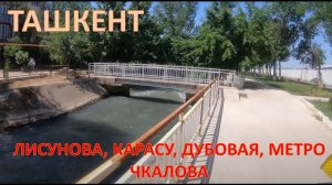 ТАШКЕНТ, ДУБОВАЯ, ЛИСУНОВА, ЧЕРЕМУШКИ, КАРАСУ НАБЕРЕЖНАЯ, МЕТРО ЧКАЛОВСКАЯ, НАДЗЕМНОЕ МЕТРО.