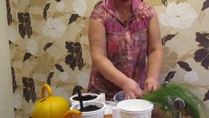 Осока власовидная Амазон Мист 21.10.2018