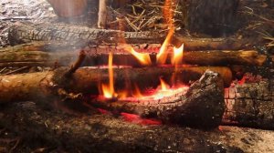 Forest chair. BUSHCRAFT. Лесное кресло, бушкрафт на болоте.