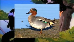 DuckTales Theme but it's just "Duck"