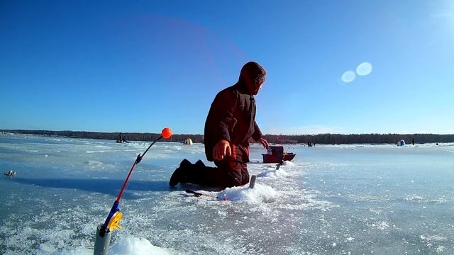 д. Ручьи \ Корюшка \ Зимняя рыбалка смотреть онлайн
