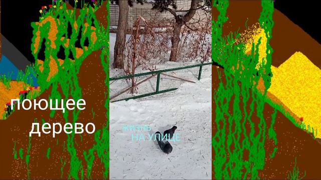 ЖИЗНЬ ВОКРУГ: ПОЮЩЕЕ ДЕРЕВО смотреть онлайн