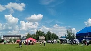 Группа производительницы Зависть Богов Рейма ч.2 / Моно немецких овчарок ранга ПК БРОННИЦЫ 10 август