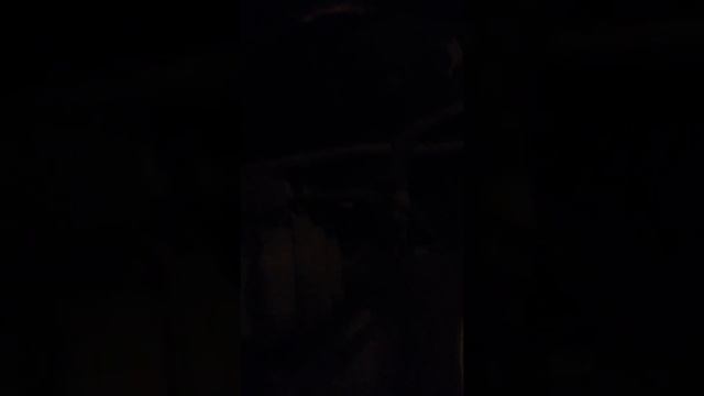 Volkswagen Passat b6 2.0 FSI BVY звук двигателя при старте из под капота смотреть онлайн