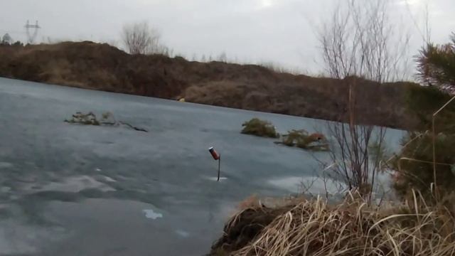 Вепрь 12 Молот. Патрон с утинной дробью не разрывает в клочья пивную банку. смотреть онлайн