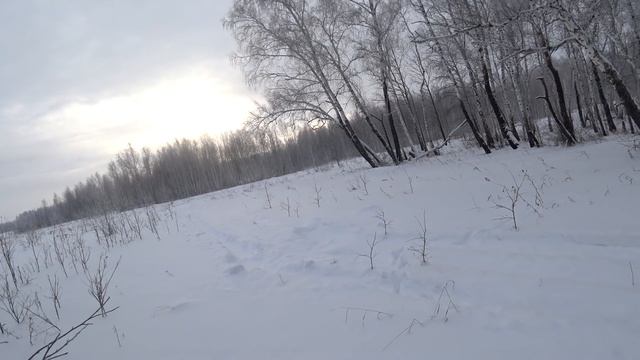 Охота. 4 косули на 2 патрона. Hunting. 4 roe deer on 2 cartridges. смотреть онлайн