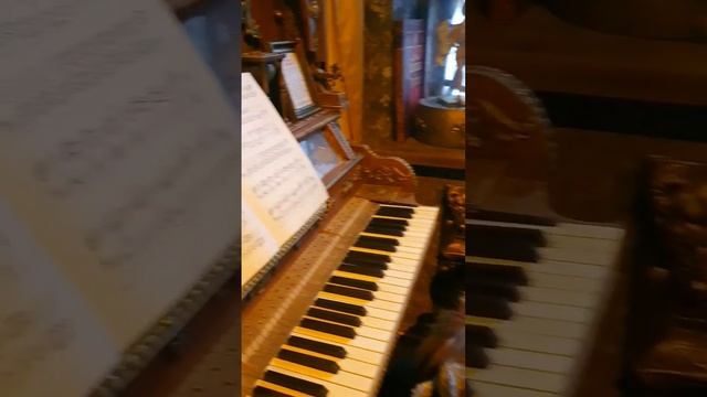 Музей сказочных существ для детей и взрослых "Небылица". Санкт-Петербург смотреть онлайн