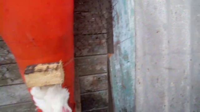 Забой бройлера. Всё о кормление, забое, ошпаривание и до способа хрениния мяса. смотреть онлайн