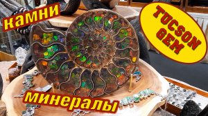 Международная ярмарка натуральных камней и минералов. TUCSON GEM AND MINERAL SHOW