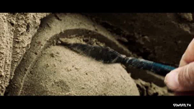 Дэвид Линч видео с shanedavey1 смотреть онлайн