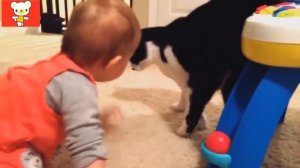 Прикольные видео про детей