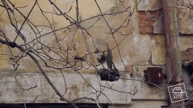 Старая больница ! Слабонервным  и детям НЕ СМОТРЕТЬ