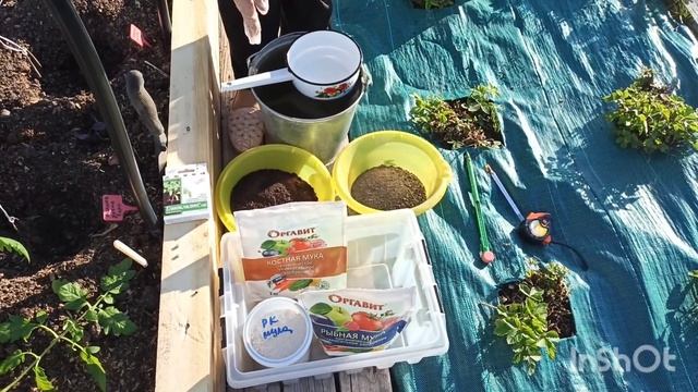 Высаживаем томаты, перцы и баклажаны в открытый грунт под спанбонд. смотреть онлайн