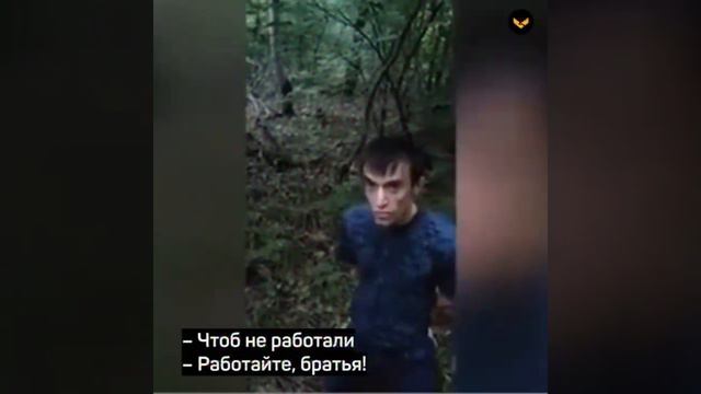 Работаем, брат!