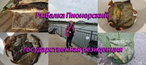 Рыбалка Пионерский, государственная резиде