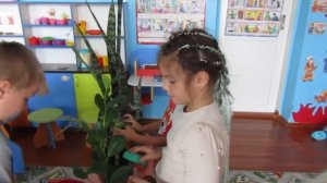 Уход за комнатными растениями в старшей группе