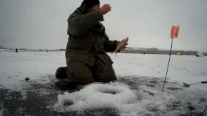 РЫБАЛКА С ДРУЗЬЯМИ. ШАШЛЫКИ НА ПРИРОДЕ. ЗИМНЯЯ РЫБАЛКА.  #tmzfishing