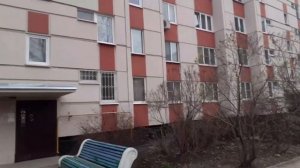 Обзор Шушары. Стоит ли жить в этом посёлке?