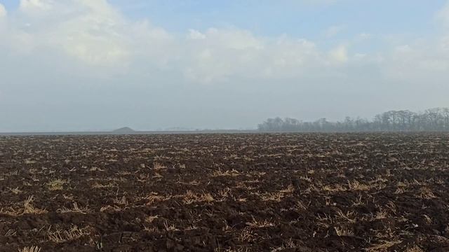 открытие охоты на зайцев 2021 , день второй смотреть онлайн