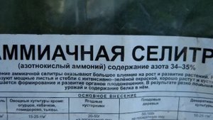 Чем удобрять гладиолусы. Важные для них подкормки.