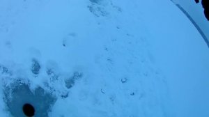 ЛОВЛЯ СУДАКА НА ТЮЛЬКУ. РЫБАЛКА НА ВОЛГЕ.СУДАК.НАЛИМ.БЕРШ.