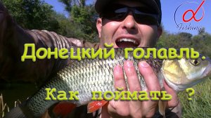 Донецкий голавль. Микрореки.

Как поймать?