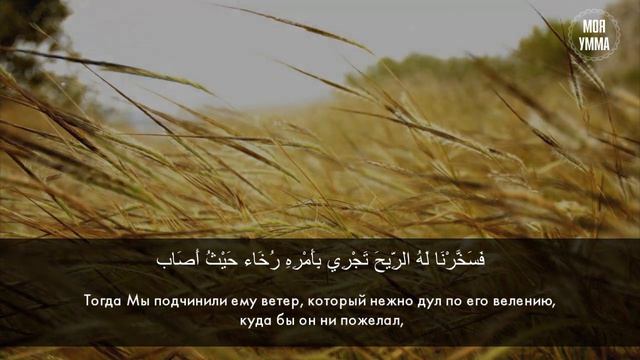 38-я Сура Корана- «Сад»