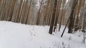 Мотоблок по снегу.