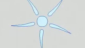 Выделение у инфузории