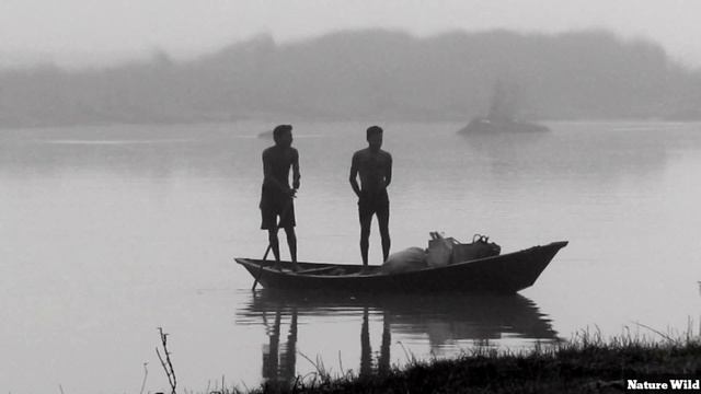 The Boatman | Damodor River | Canon PowerShot SX430 IS |Nature Wild смотреть онлайн
