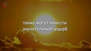 Как Получить Мягкие и Гладкие Руки? Домашний КРЕМ для Рук.