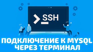 Как войти в MySQL через консоль. Инструкция