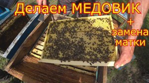 Делаем МЕДОВИК + ЗАМЕНА МАТКИ! Главный взяток
