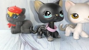 Большая распаковка посылок с лпс из старой коллекции. Пет моей мечты и много подарков для петов