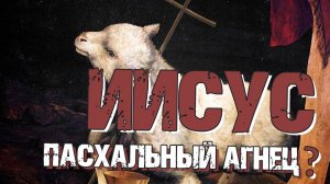 Миссионеры учат, что Иисус пасхальный агнец | Раввин Михаил Финкель