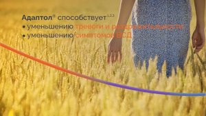 Адаптол