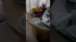 Отель "Причал"*** г.Адлер ул.Просвещения, 7. Завтрак