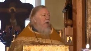 Проповедь в Неделю 30 ю по Пятидесятнице Рождественский пост!!!Священник Димитрий Смирнов.