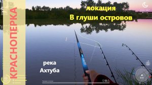 Русская рыбалка 4 - река Ахтуба - Красноперка перед ямой