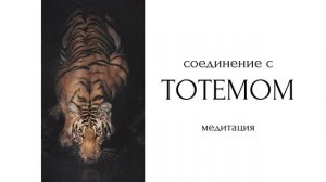 Медитация: соединение со своим тотемным животным