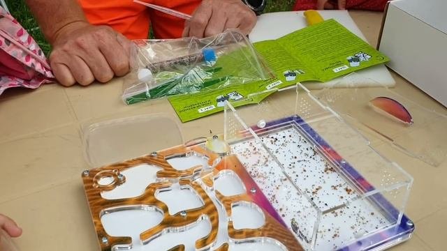 ПЕРВАЯ МУРАВЬИНАЯ ФЕРМА с МУРАВЬЯМИ, ЗАСЕЛЕНИЕ